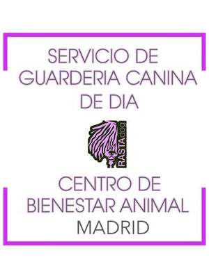 Parrucchiere Canine del Perro de Agua Español (Reserva de CITA) David Morales (Córdoba) Peluqueria Perros