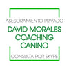 Asesoramiento privado - Coaching Canino