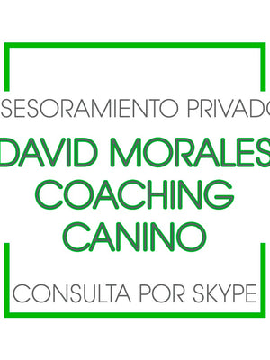 Asesoramiento privado - Coaching Canino