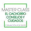 Master Class by Skype El Cachorro - Advice and Care