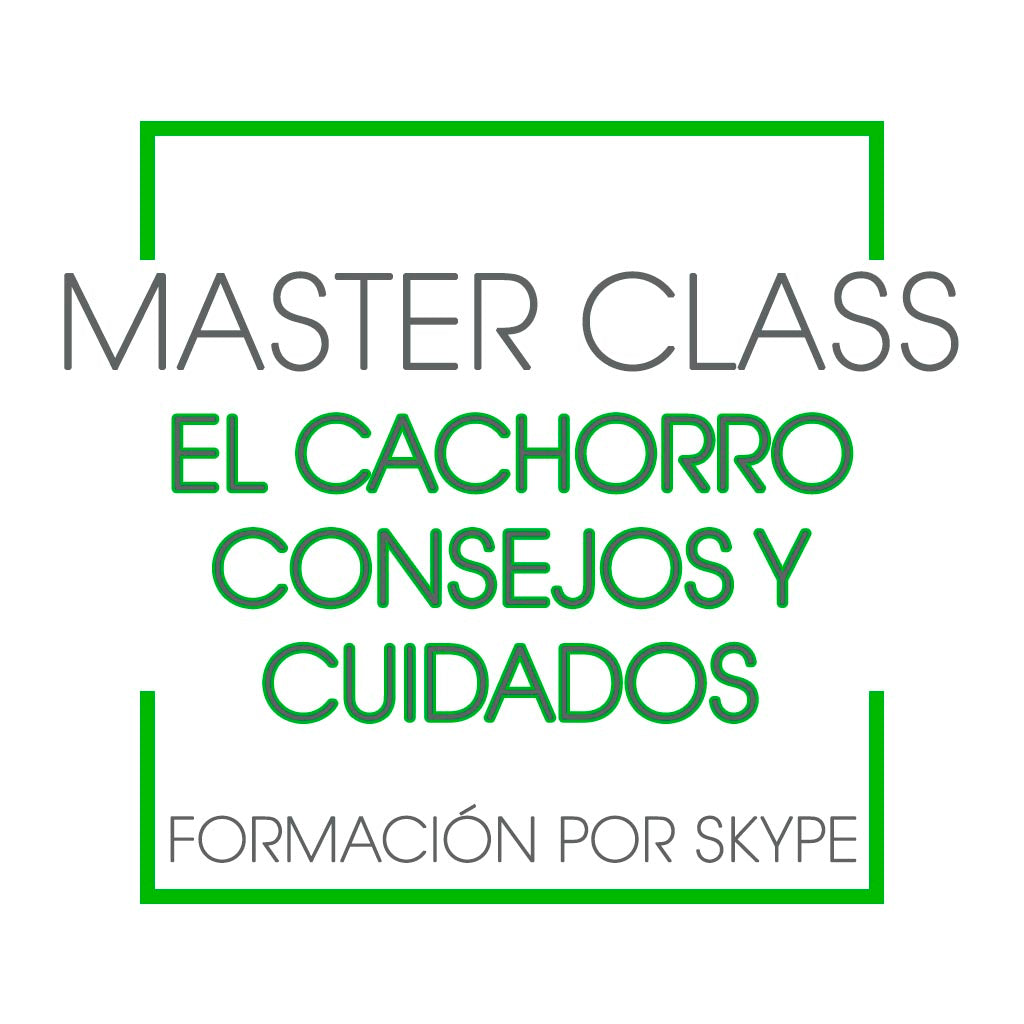 Master Class por Skype El Cachorro - Consejos y Cuidados