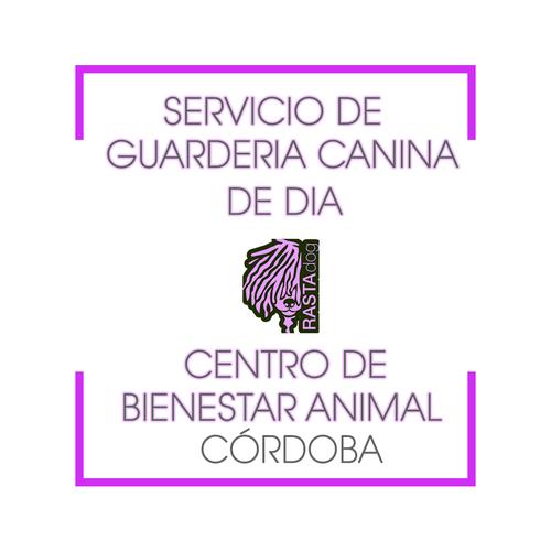 Guardería Canina Córdoba -  RASTAdog Centro de Bienestar Animal - Guardería Perros Córdoba